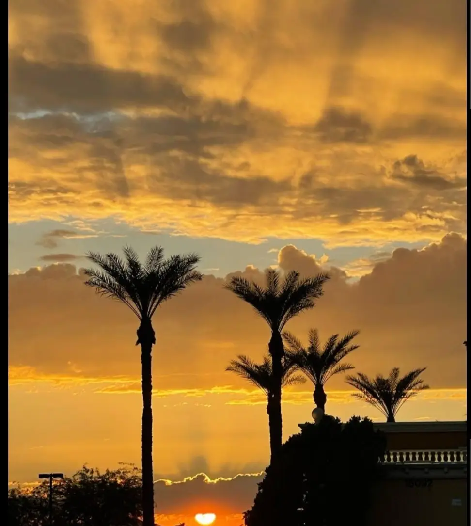 Thunderbird Oasis Counseling — Psychotherapy in N 51st Ave Ste 113, Phoenix