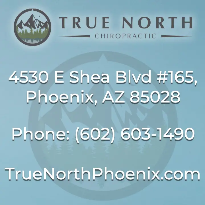 True North Chiropractic — Massage Therapy in E Shea Blvd #165, Phoenix