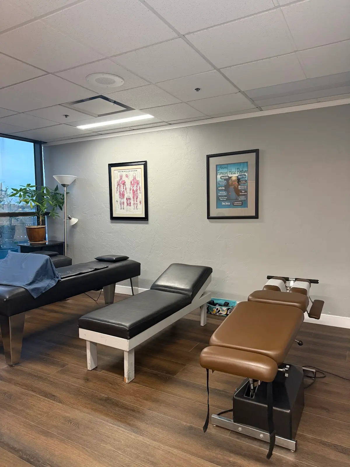 Biophysics Chiropractic — Massage Therapy in Oberlin Dr Ste 204, San Diego