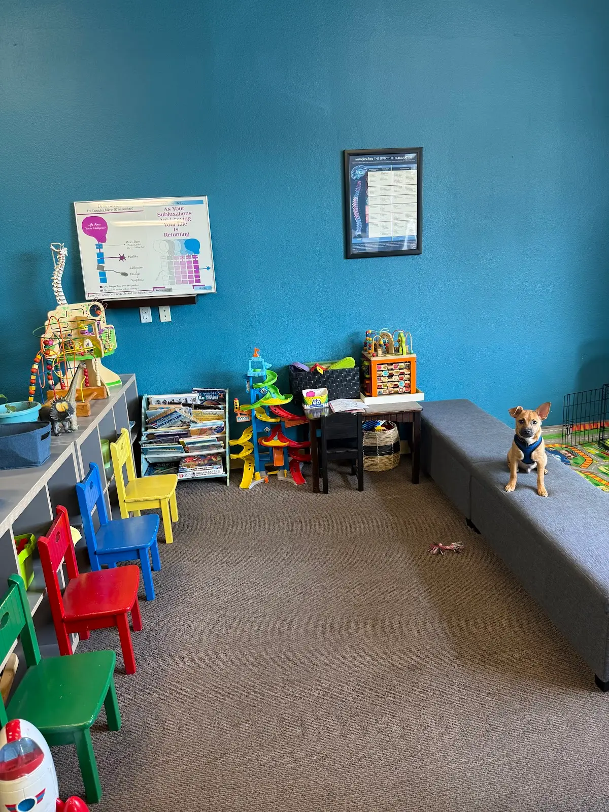 Chiropractic Center for Health and Human Potential — Chiropractic in Riverdale St, San Diego