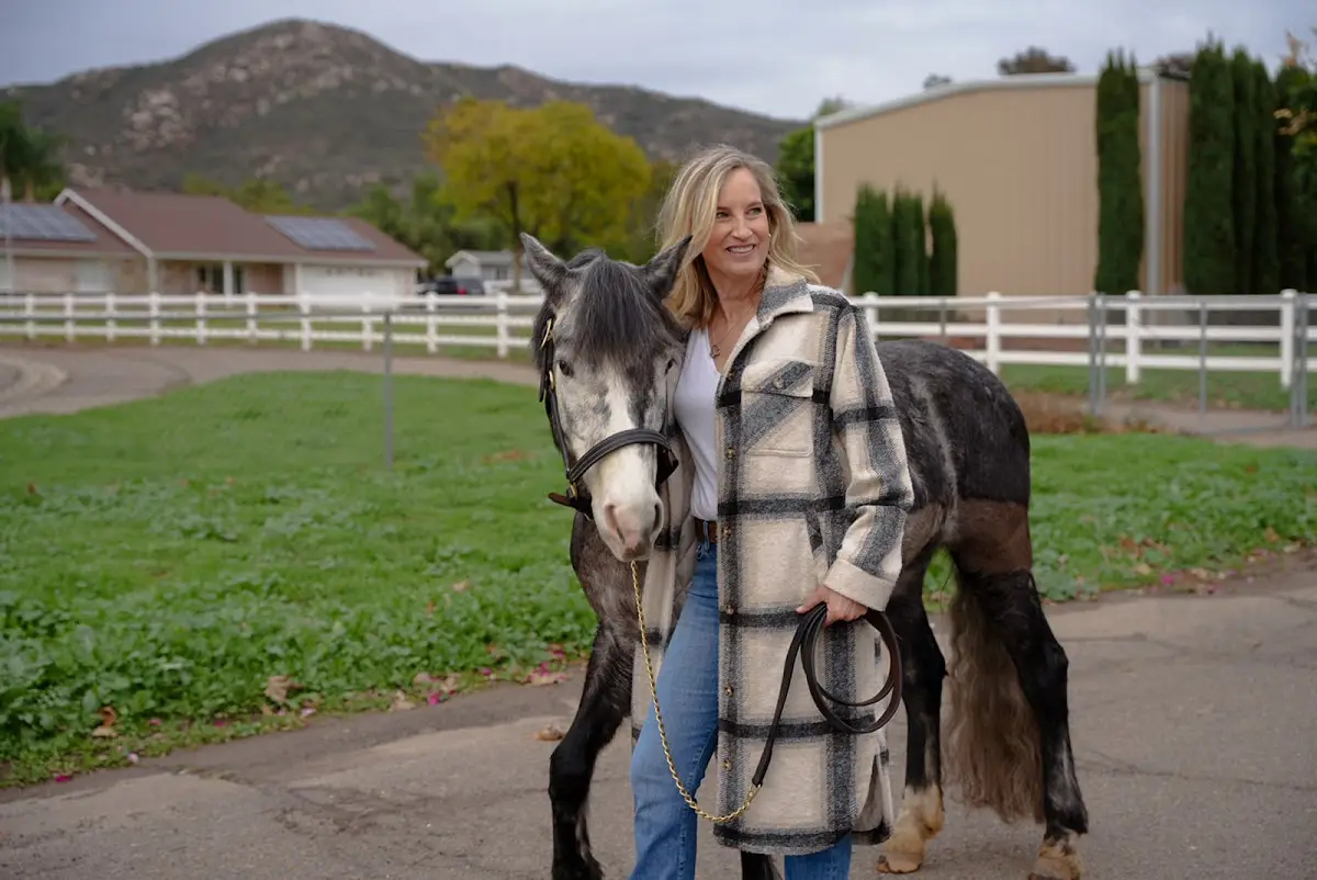 Equus Life Coach — Counsellors & Mentors in Echo Valley Rd, San Diego