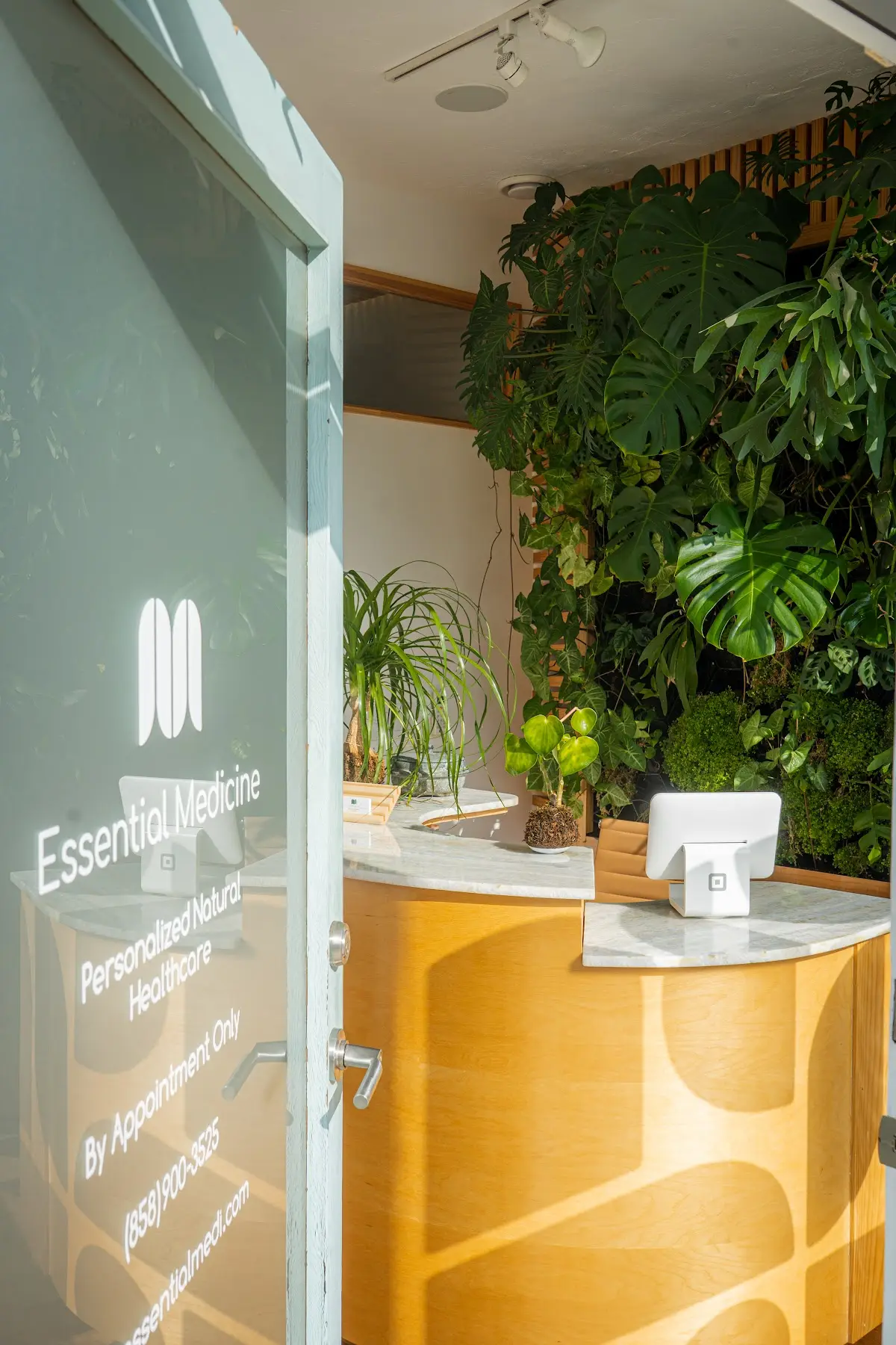 Essential Medicine — Acupuncture in La Jolla, San Diego