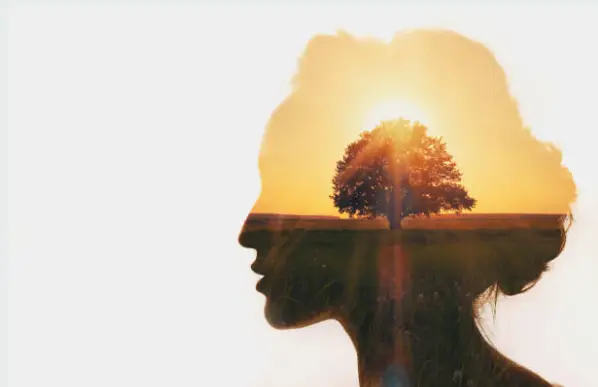 Healing You Hypnotherapy — Hypnotherapy & NLP in Rio San Diego Dr, San Diego