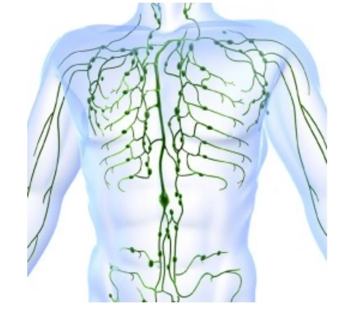Integrative Healing — Reiki & Energy Medicine in Hale Pl #214, San Diego