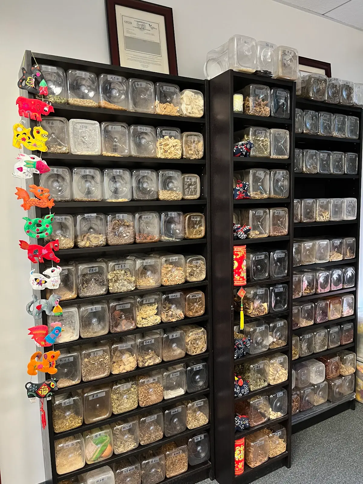 Joann Xie, Licensed acupuncturist and herbalist — Acupuncture in Del Mar, San Diego