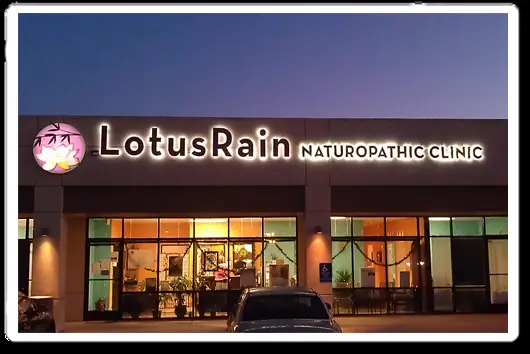 LotusRain Naturopathic Clinic — Massage Therapy in Balboa Ave # F, San Diego