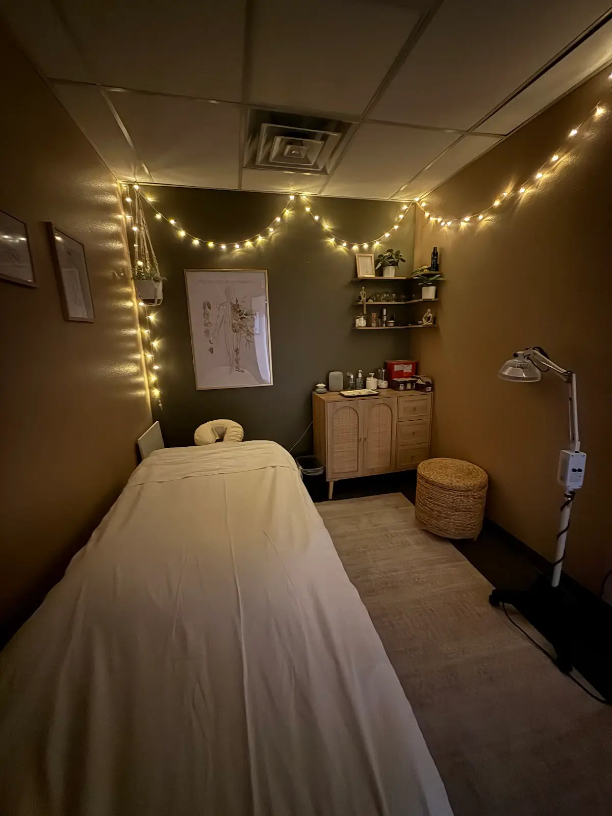 Modern Meridians — Acupuncture in Kearny Villa Rd, San Diego