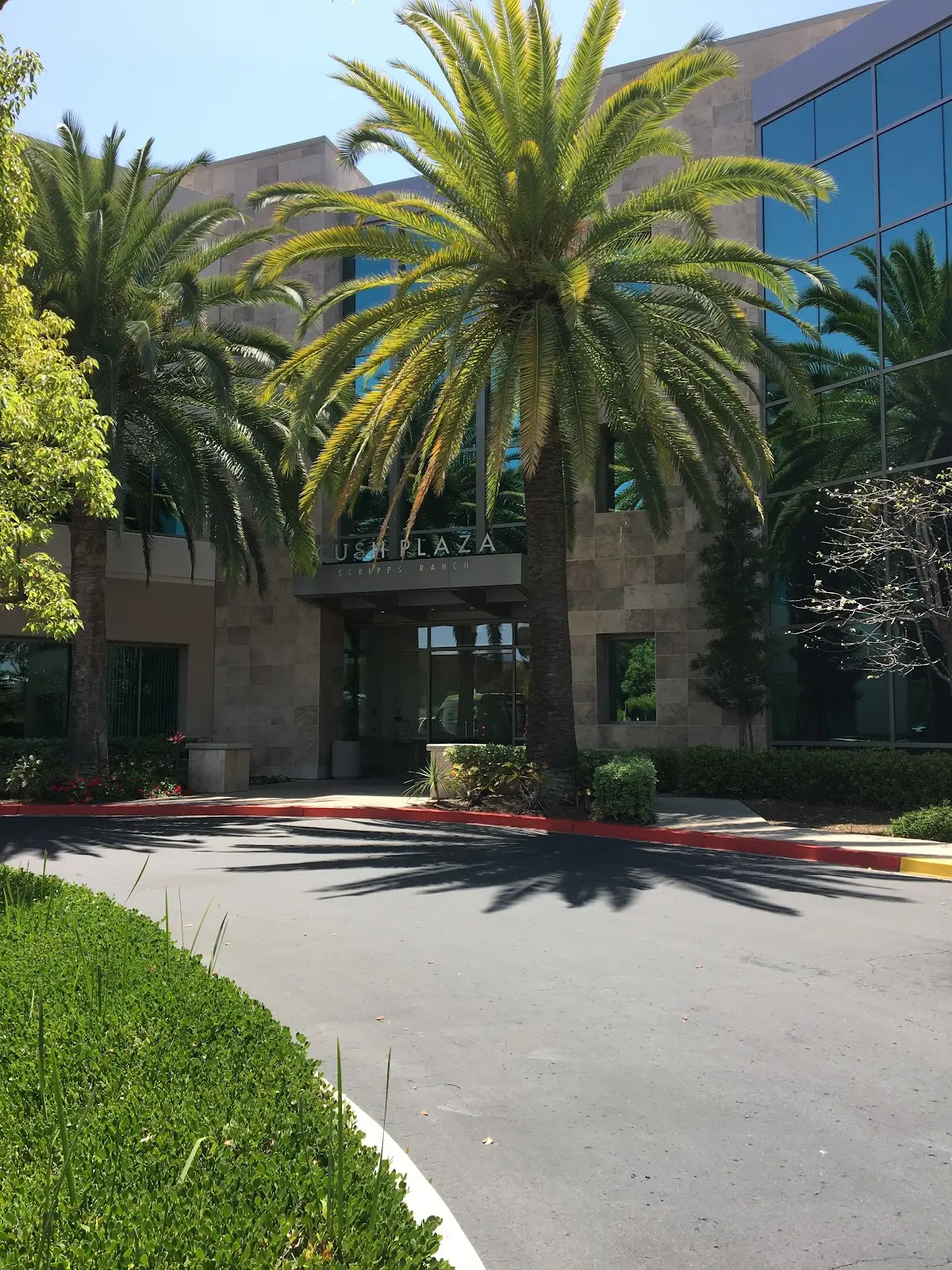 Piece of Mind Neuropsychology Inc. — Psychotherapy in Treena St Ste 230, San Diego