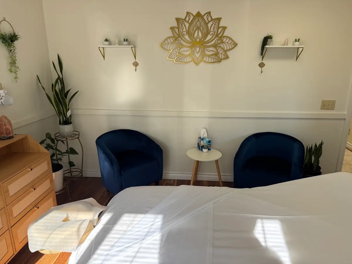 San Diego Acupuncture and Massage — Acupuncture in Hotel Cir S #275, San Diego