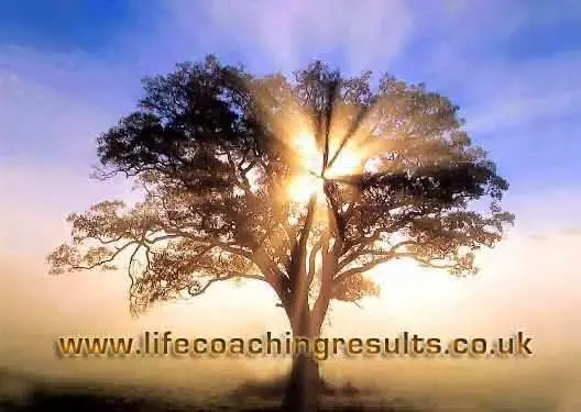 San Diego Life Coach — Counsellors & Mentors in Alta View Dr, San Diego