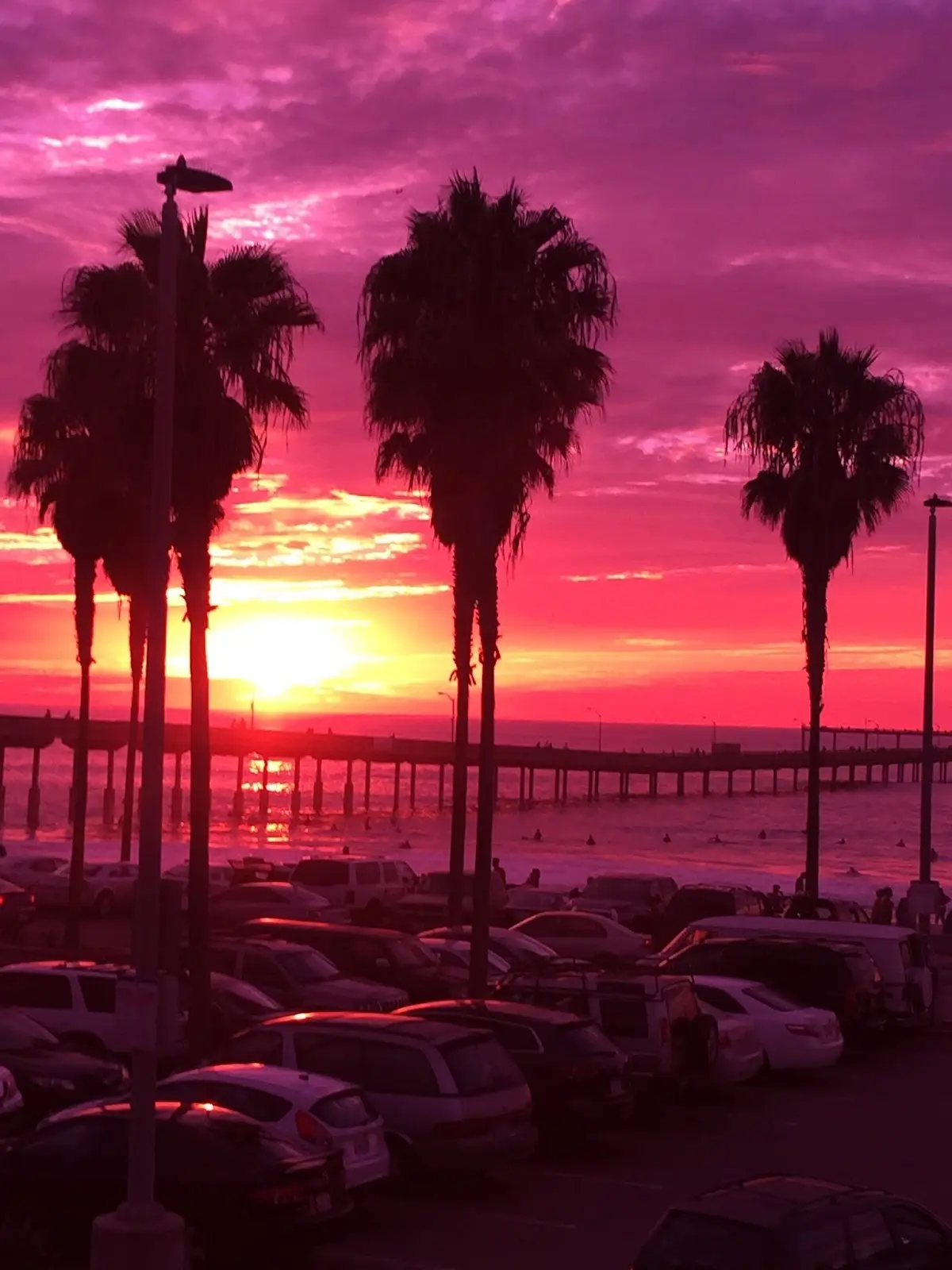 San Diego Naturopathic - Dr. Peter Wannigman — Naturopathic Medicine in Camino del Rio S, San Diego