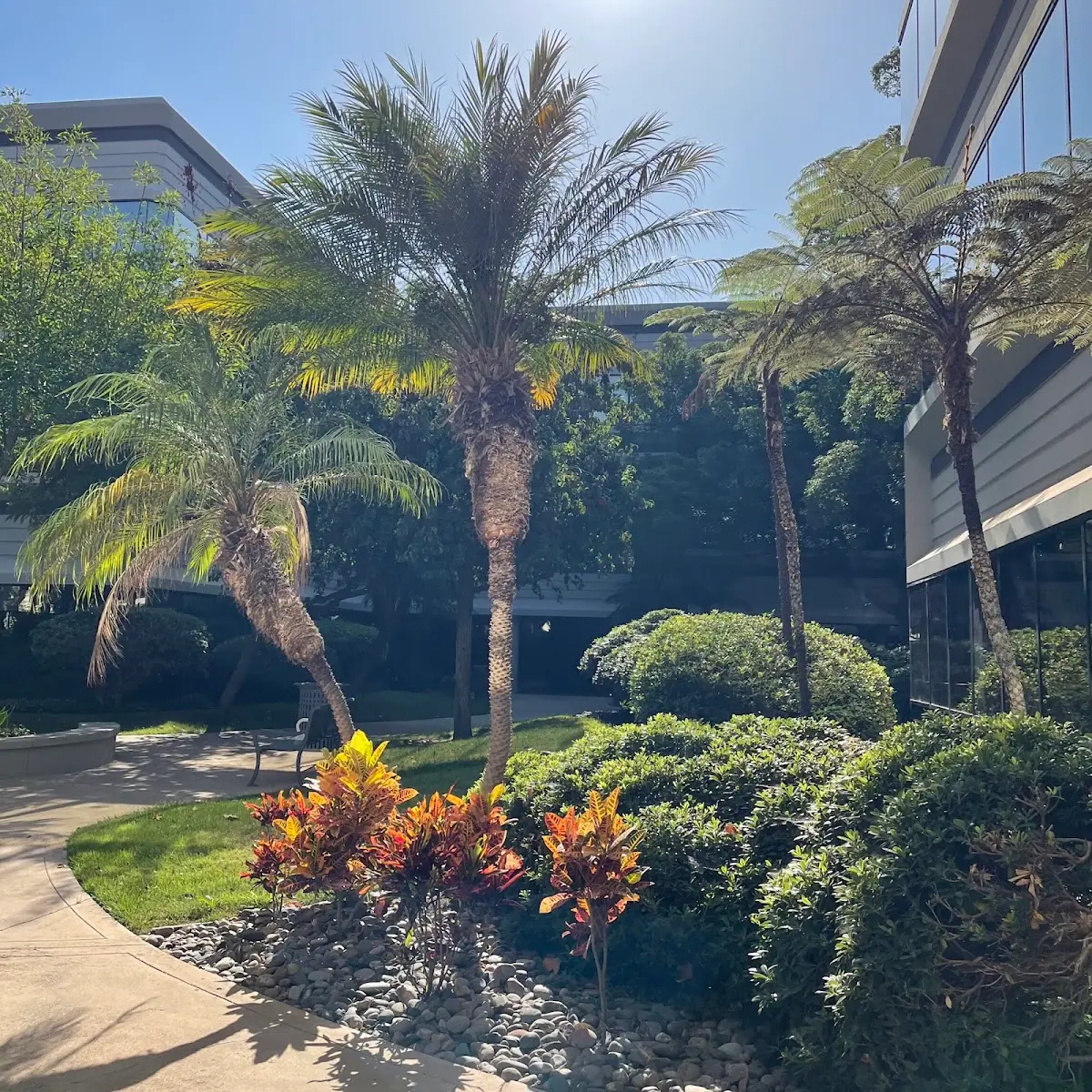 Spine & Sport Physical Therapy - Kearny Mesa — Physical & Rehabilitation Therapy in Convoy St, San Diego