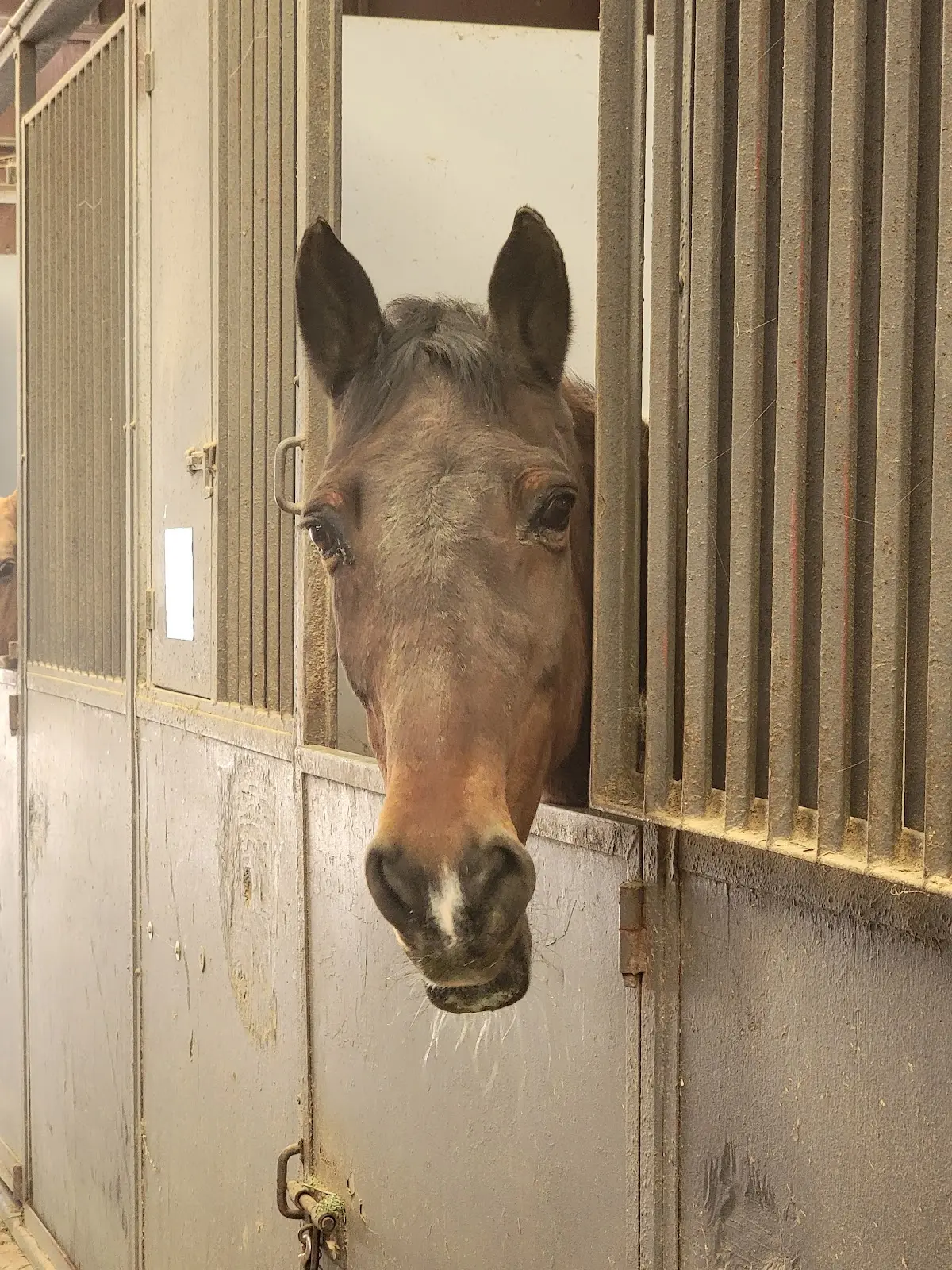 Stable Relationships — Psychotherapy in Lakeside, San Diego