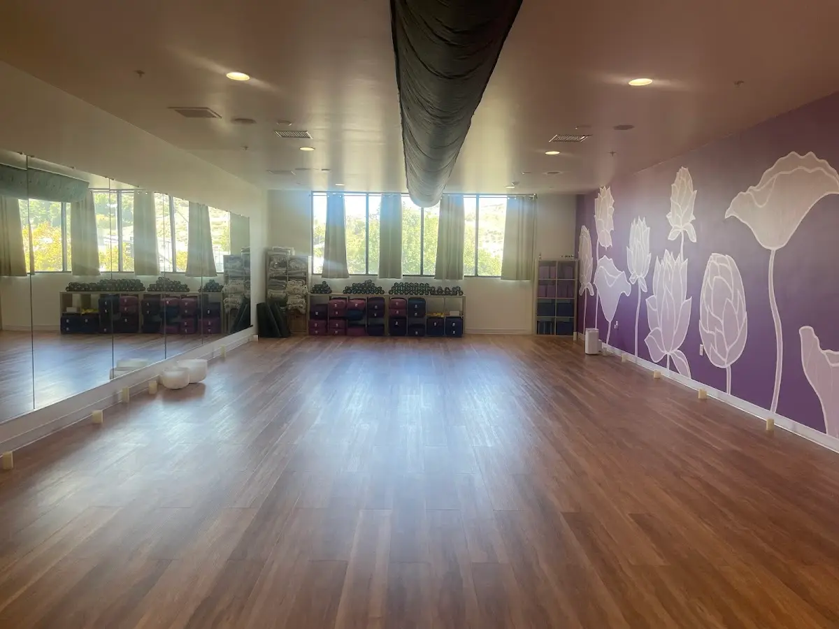 The Balanced Yogi — Yoga, Tai Chi & Pilates in Magnolia Ave #240, San Diego