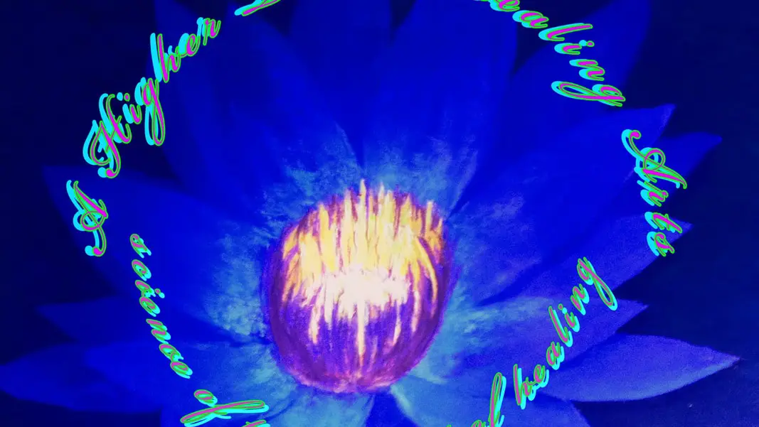 A Higher Touch Arts Of Healing — Reiki & Energy Medicine in Fairview Ave E #300, Seattle