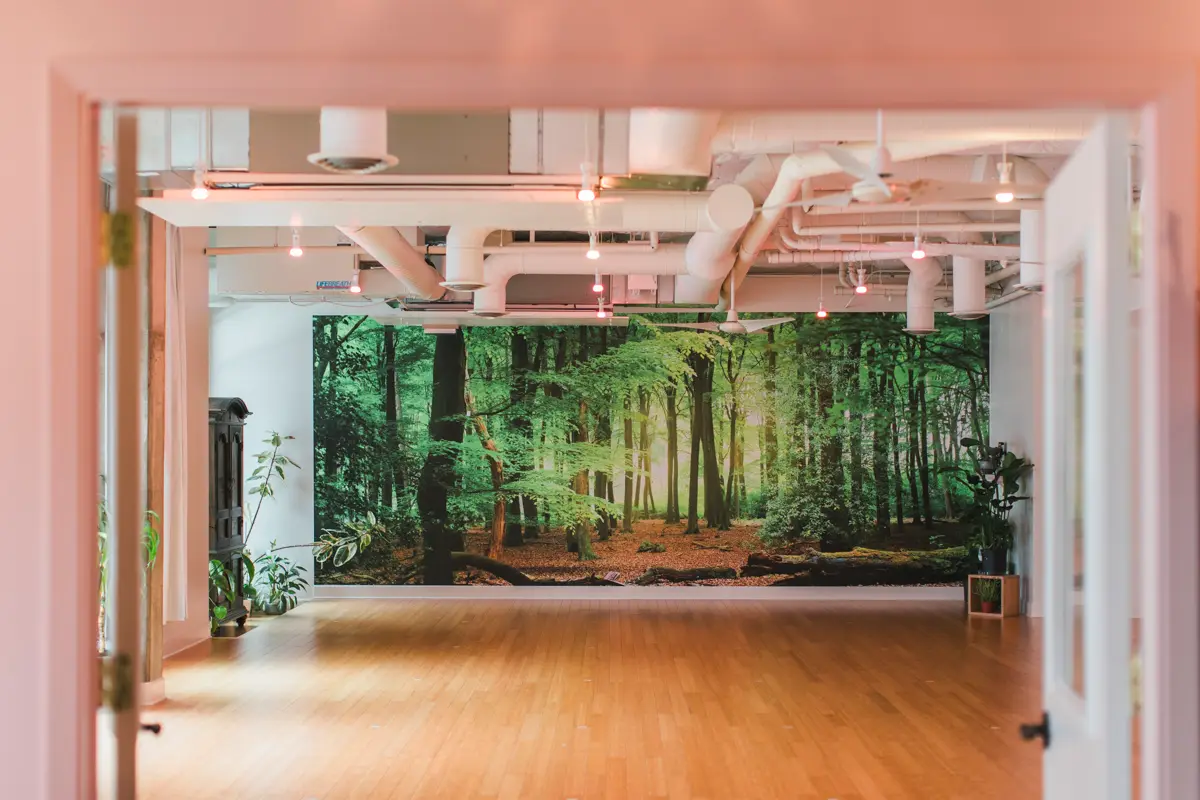Arise Yoga Movement — Yoga, Tai Chi & Pilates in NE 119th Way, Seattle