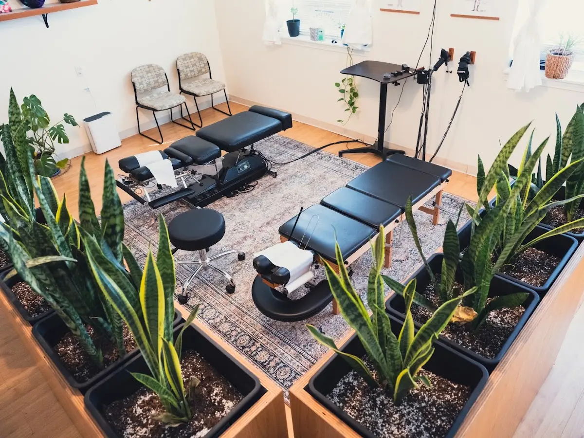 Beacon Hill Chiropractic — Chiropractic in 15th Ave S, Seattle