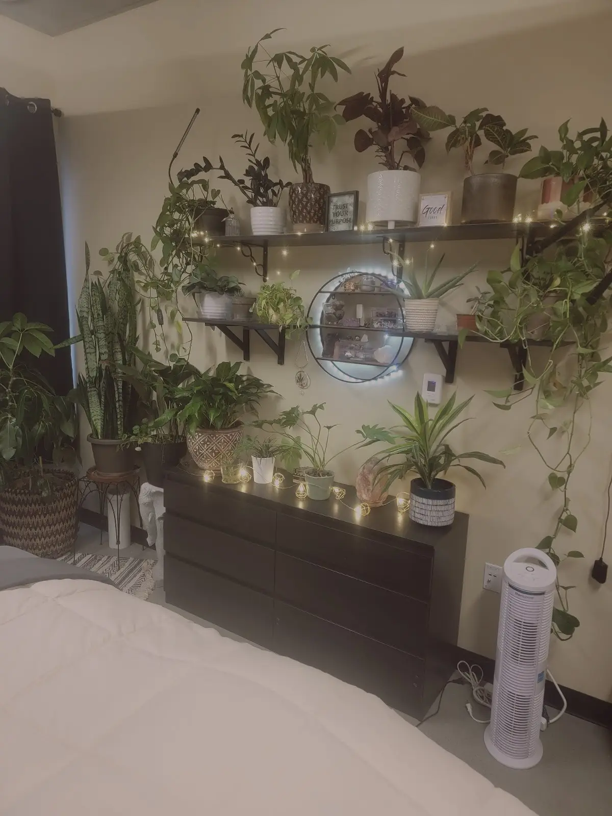 Calmed Soul Holistic Spa — Reiki & Energy Medicine in Airport Wy S, Seattle