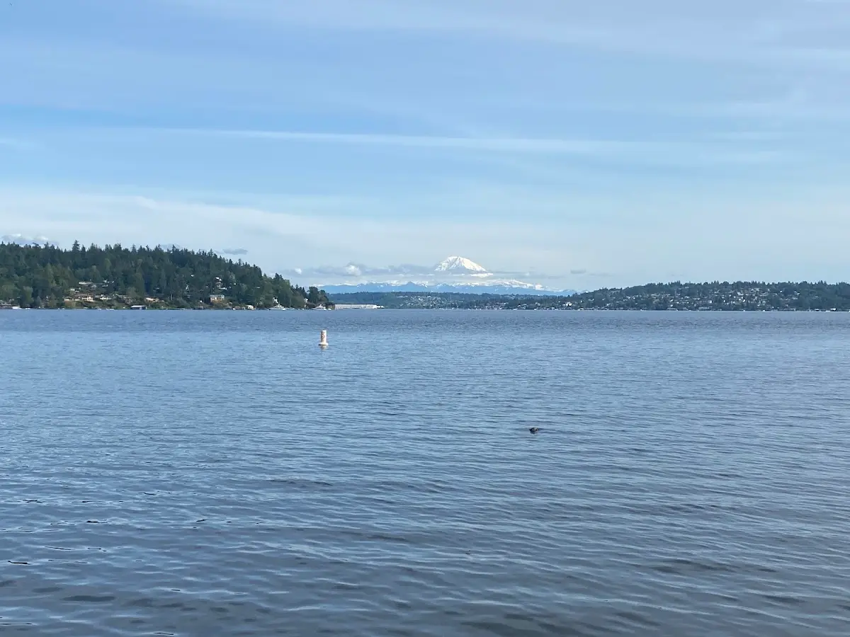Columbia City Sports and Spine — Chiropractic in 50th Ave S, Seattle