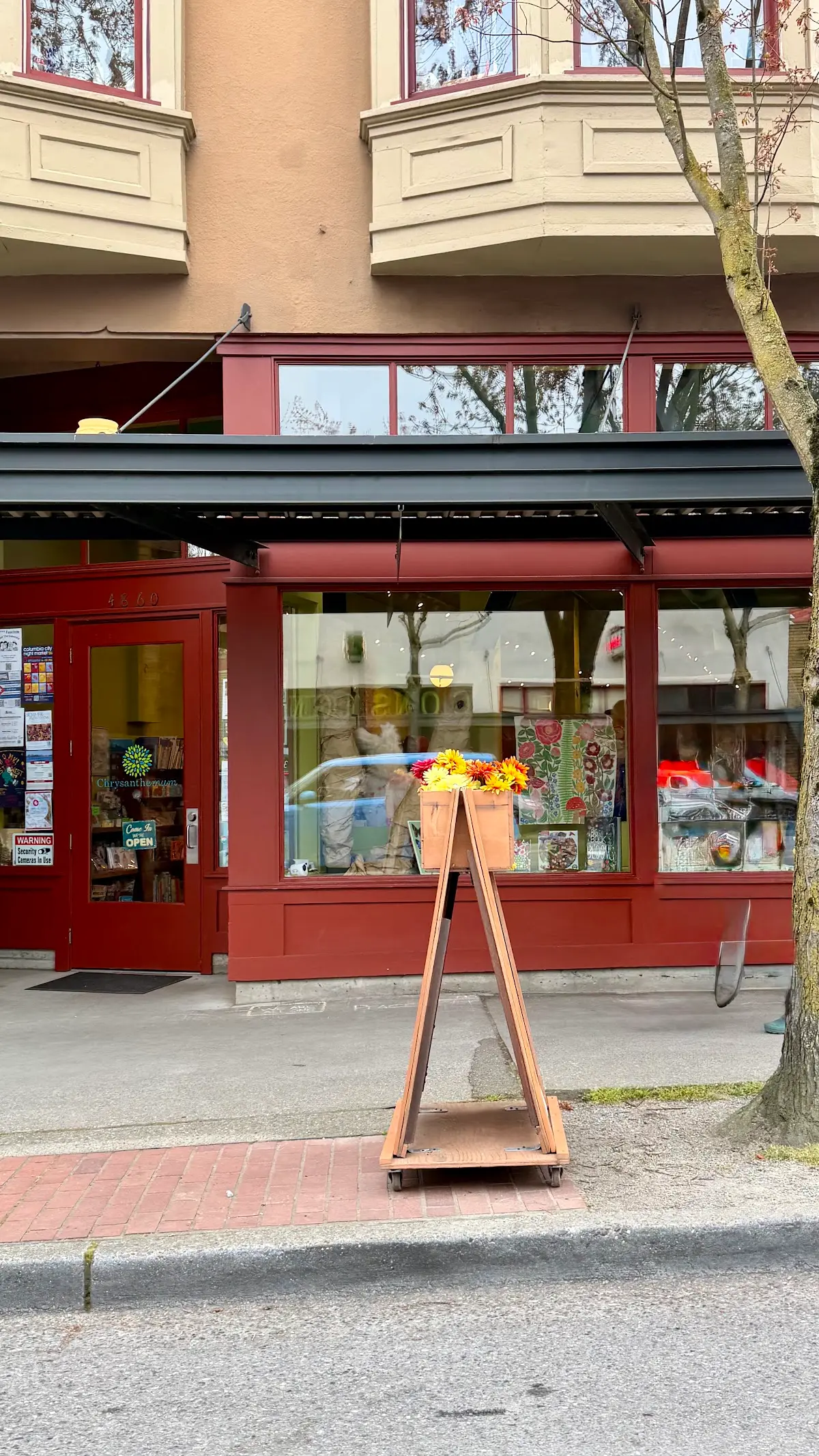Columbia City Yoga — Yoga, Tai Chi & Pilates in Rainier Ave S # D, Seattle