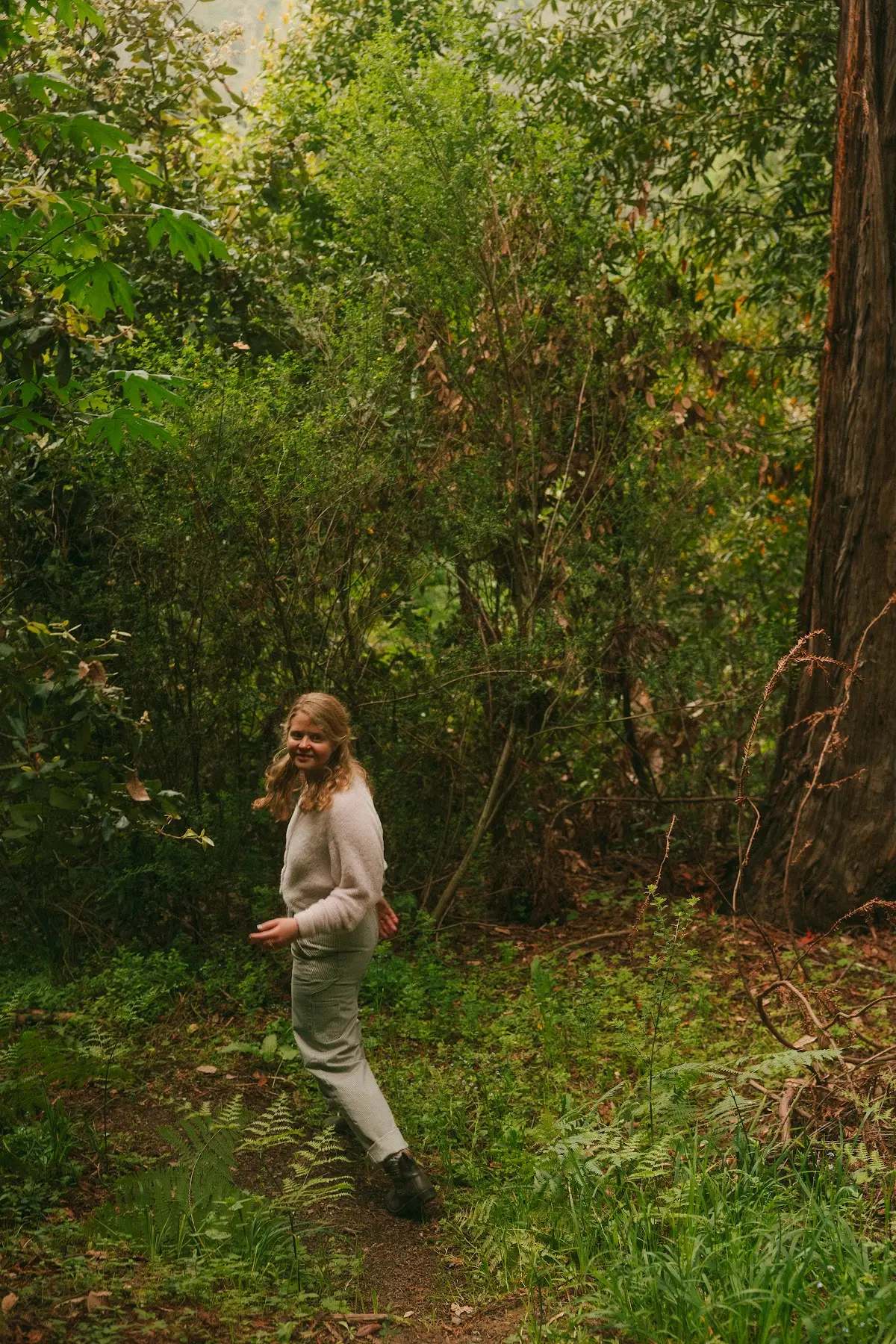 Creating an Integrated Self — Psychotherapy in Alaskan Way S, Seattle