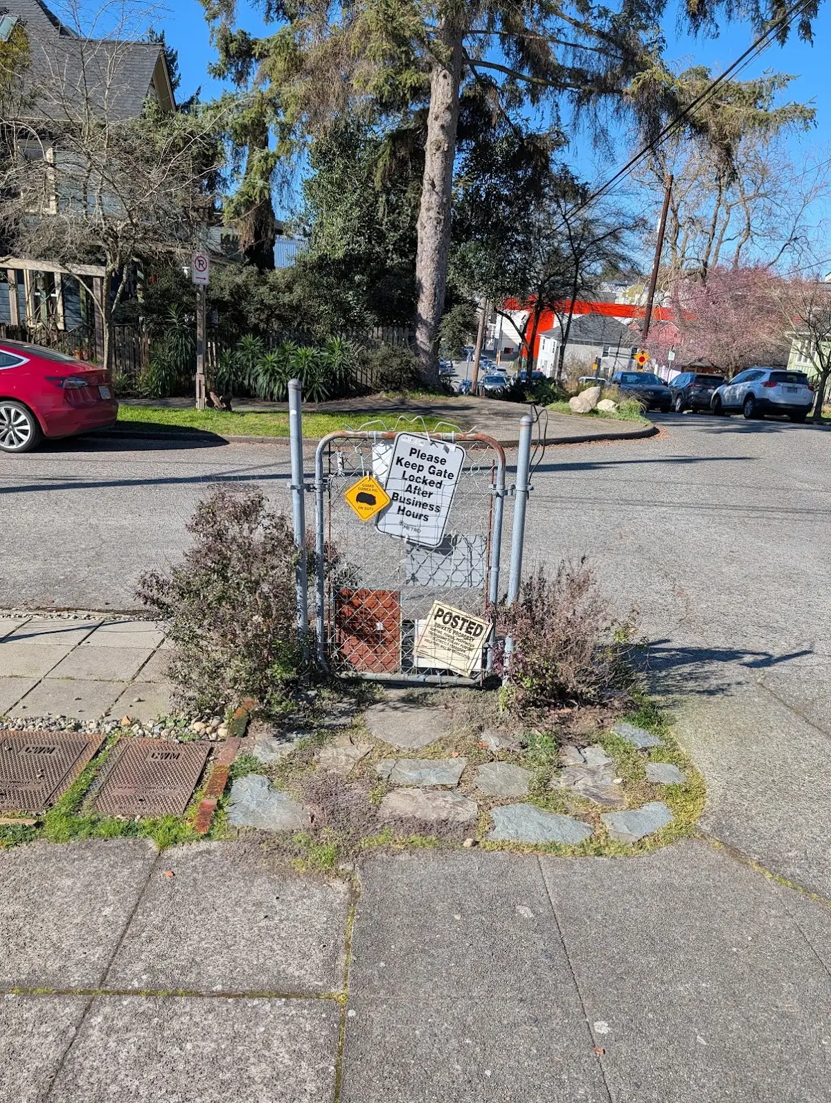 Dr. Lauren Blackham, ND — Naturopathic Medicine in Ashworth Ave N, Seattle