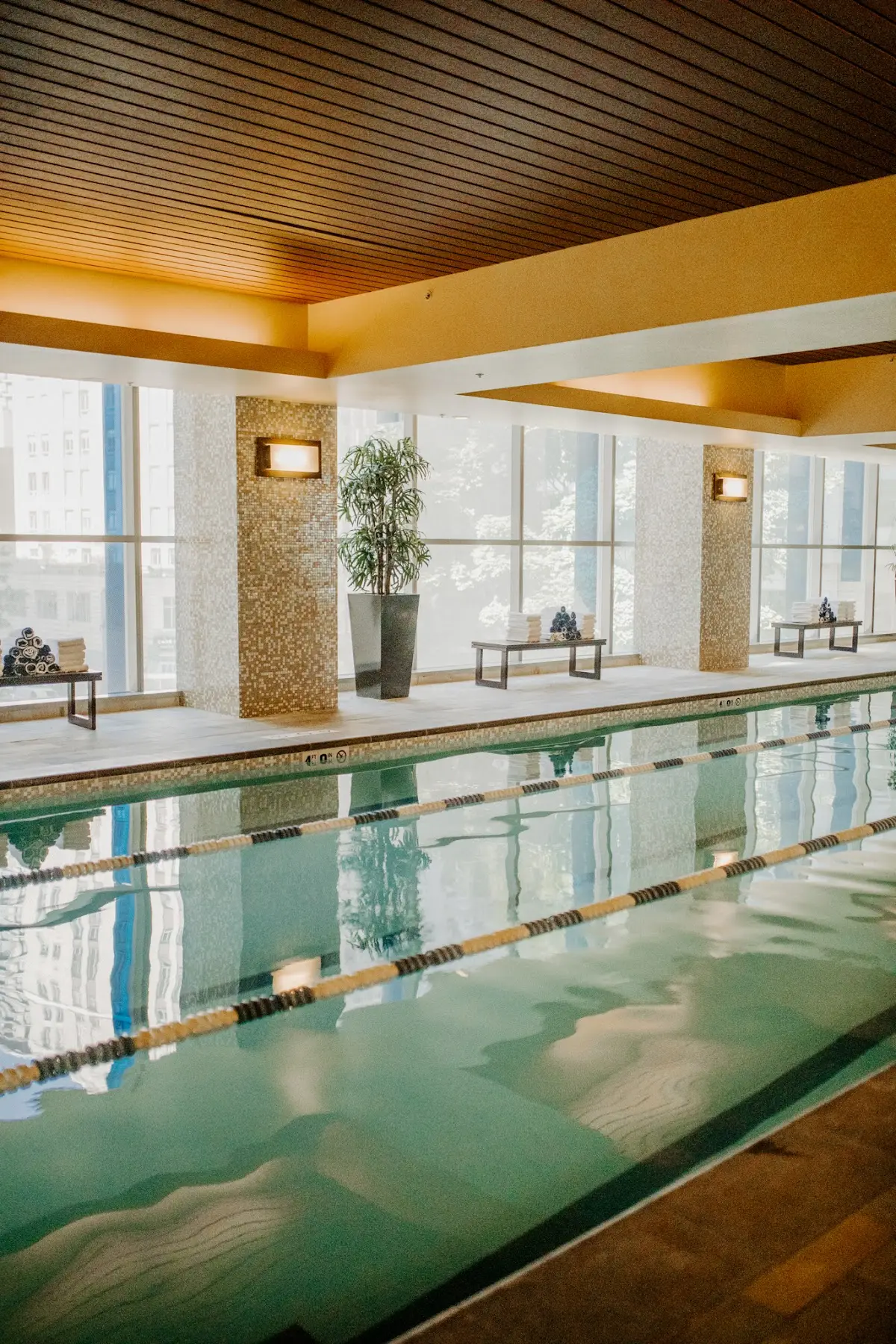 Elaia Spa — Massage Therapy in 8th Ave, Seattle