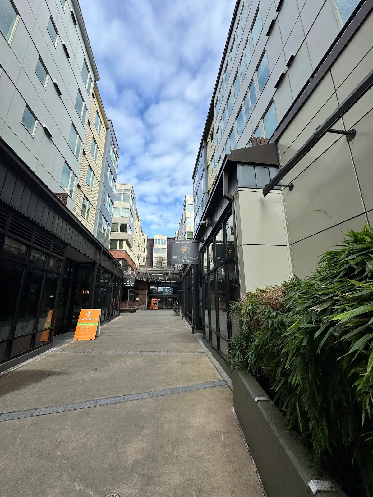 Halea Yoga — Yoga, Tai Chi & Pilates in Woodlawn Ave NE, Seattle