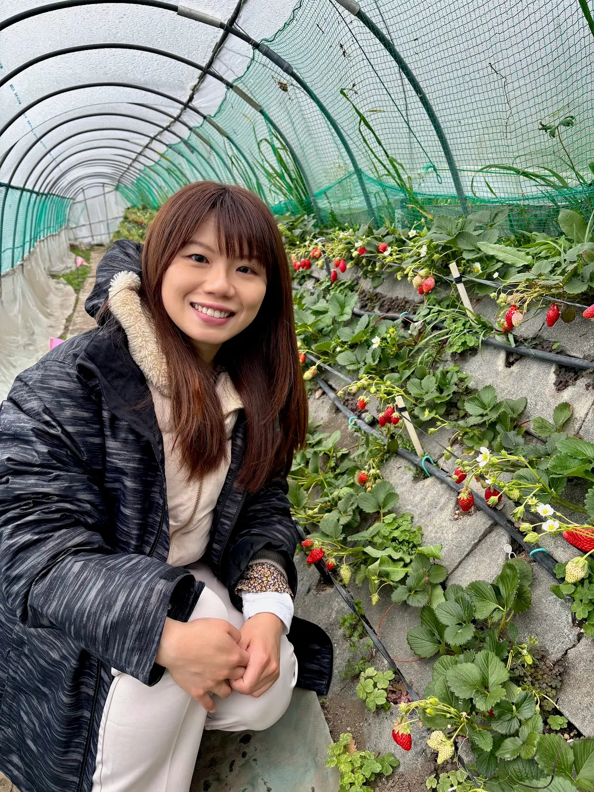 Janice Lai | Seattle Dietitian Nutritionist — Diet & Nutrition in NE 65th St, Seattle
