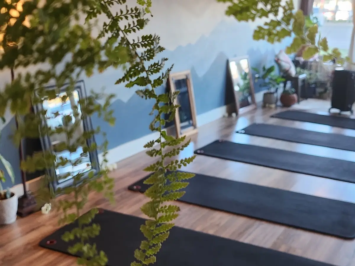 Life in the Body : Pilates, Yoga, Energy Tuning, Meditation — Yoga, Tai Chi & Pilates in A Delridge Wy SW, Seattle