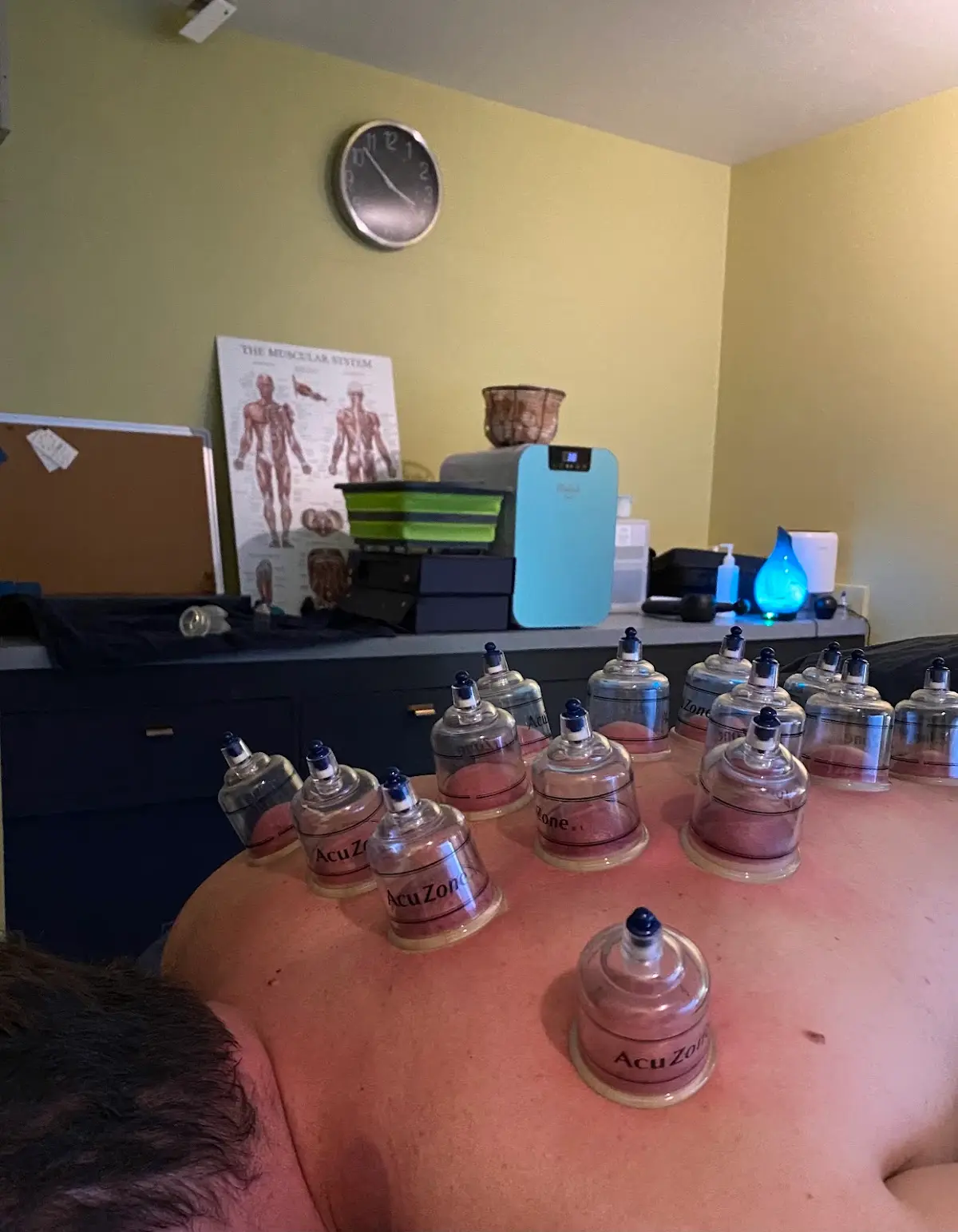 Maximus Self-Care + Massage — Massage Therapy in California Ave SW, Seattle