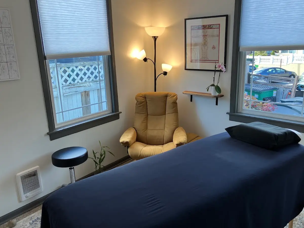 Northern Acupuncture — Acupuncture in SW Carroll St, Seattle