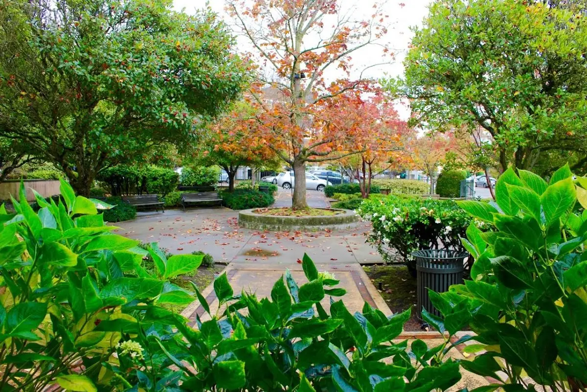 On The Spot — Reiki & Energy Medicine in Seneca and summit, Seattle