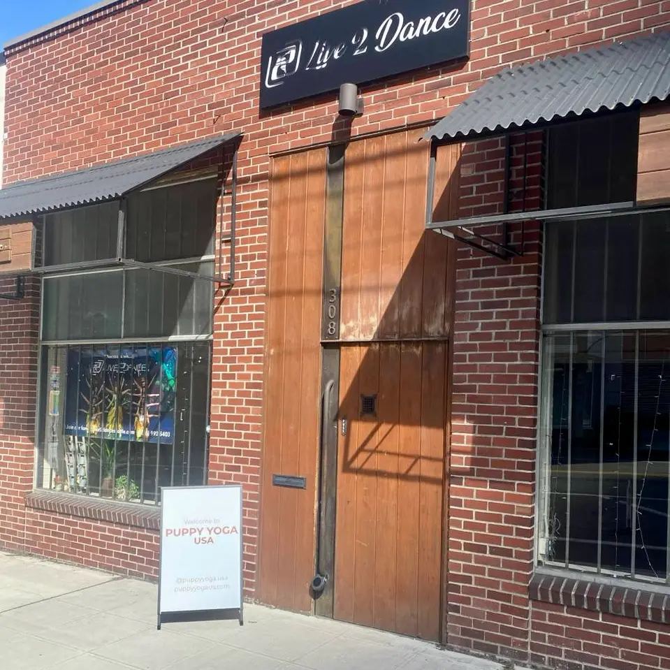 Puppy Yoga Seattle - South Lake Union (Puppy Yoga USA) — Yoga, Tai Chi & Pilates in 9th Ave N, Seattle