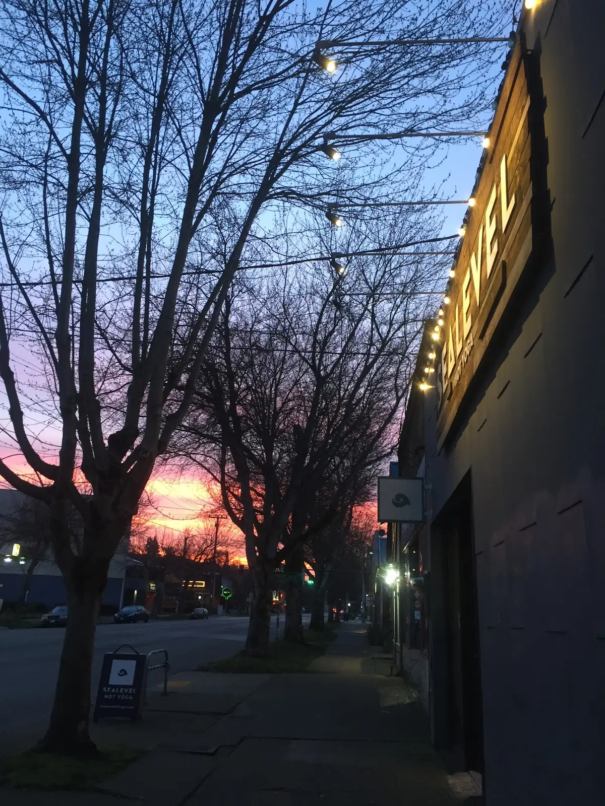 Sealevel Hot Yoga — Yoga, Tai Chi & Pilates in N 36th St, Seattle