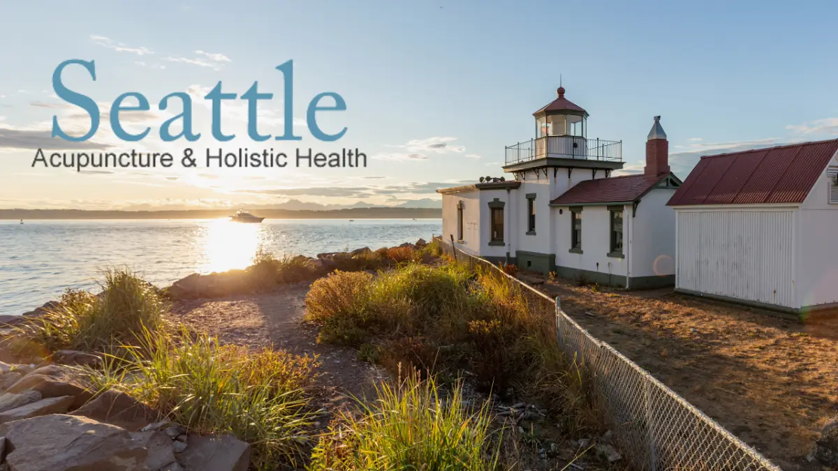 Seattle Acupuncture & Holistic Health — Acupuncture in 1st Ave N, Seattle