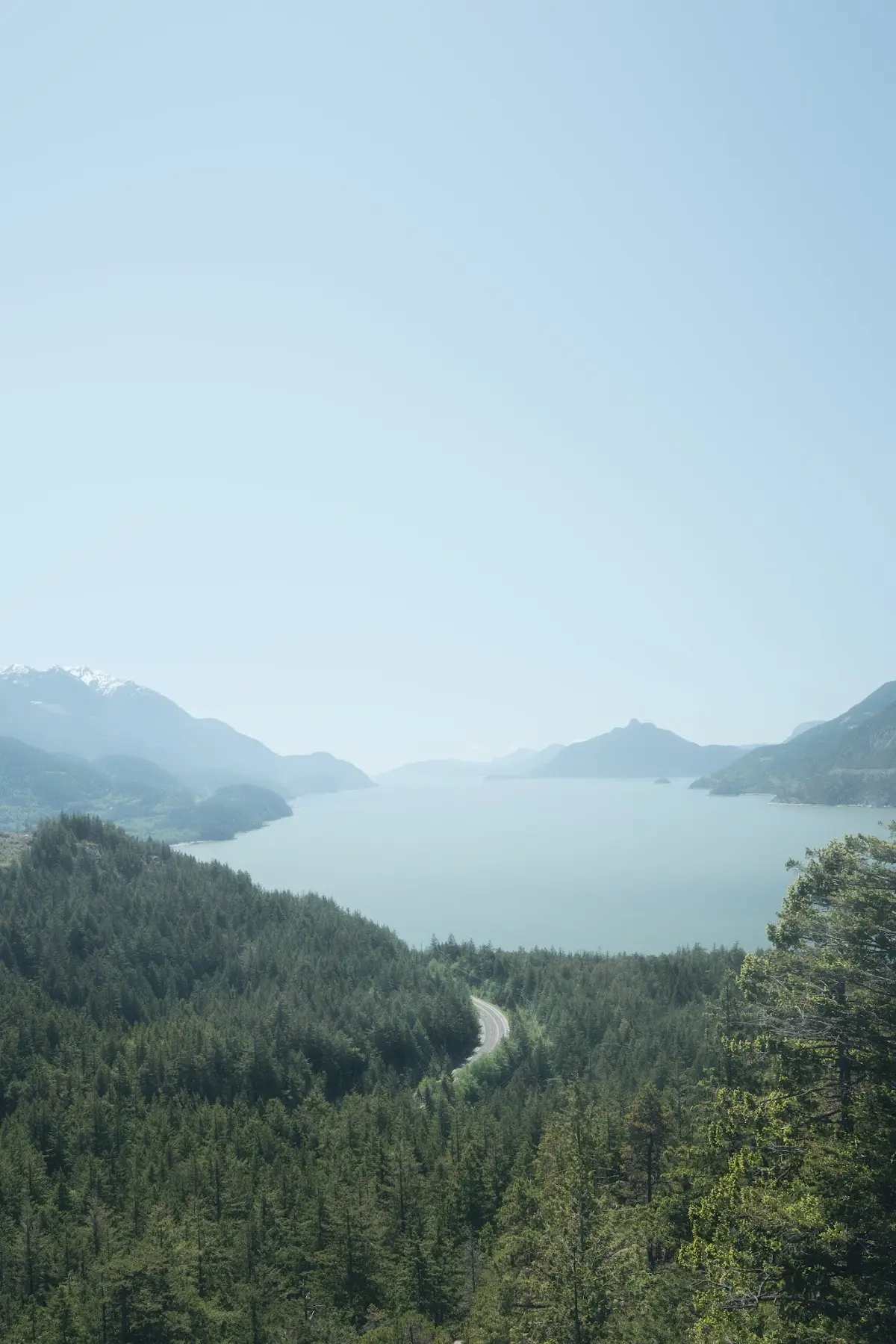 Self and Other Psychotherapy — Psychotherapy in Fairview Ave E, Seattle