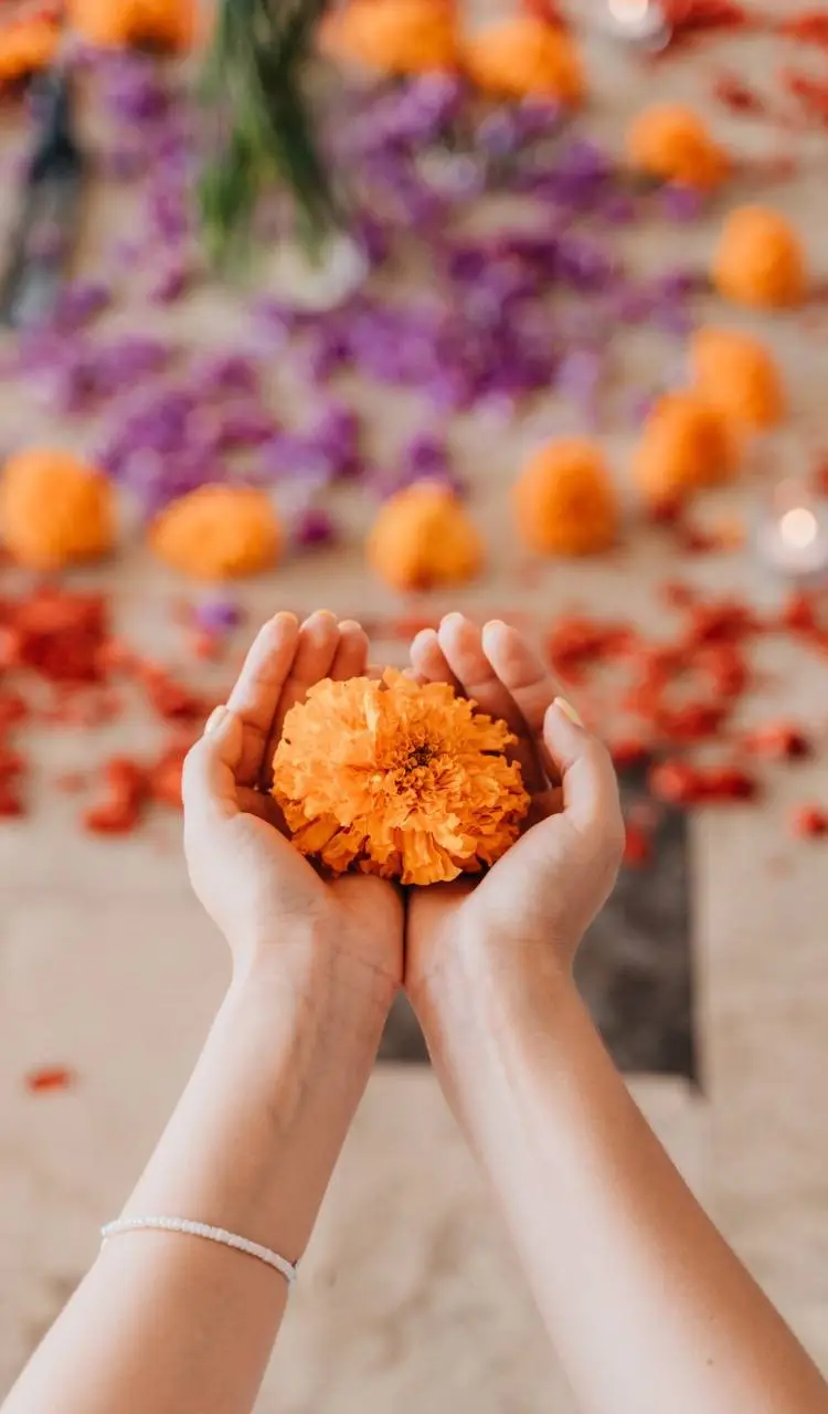 Soul Collaborators — Reiki & Energy Medicine in Park Ln Ste C, Seattle